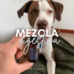 mezcla digestiva